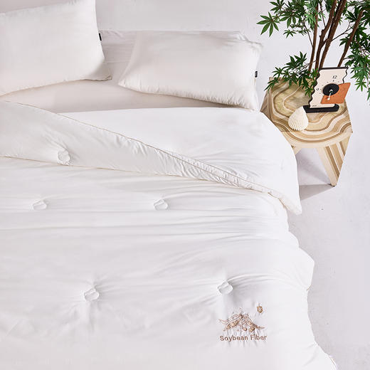 多喜爱 植蕴大豆亲肤被/加厚冬被/拉链子母被【大豆纤维】【全棉提花面料】【科学配比】【柔软舒适】多款厚度 精美绗缝 绣花&K线工艺 商品图7