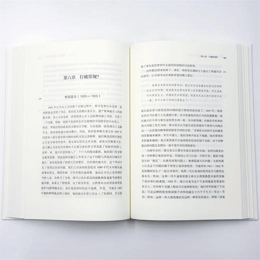 没有民主的政治(1815-1914)：英国政府的观念与关注(英国史前沿译丛) 商品图8