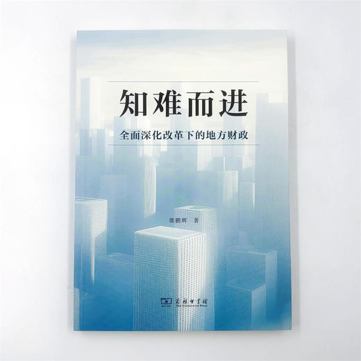 知难而进：全面深化改革下的地方财政 商品图1