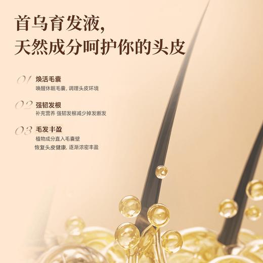 首乌养发液 商品图1