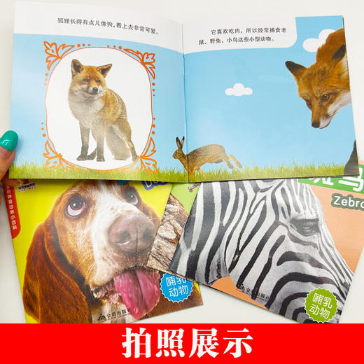 5套团【科普百科】宝宝的神奇动物小百科（全24册） 商品图3