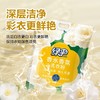 绿伞洗衣粉10斤大袋山茶花香香水香氛柔顺持久留香除菌新款 商品缩略图6