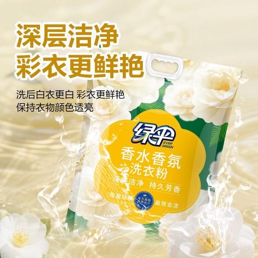 绿伞洗衣粉10斤大袋山茶花香香水香氛柔顺持久留香除菌新款 商品图6
