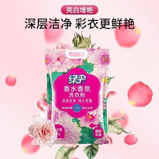 绿伞洗衣粉强效去污除菌除螨持久留香柔顺洁净 商品图7