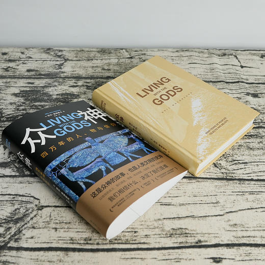 【英】尼尔·麦格雷戈《众神：四万年的人、物与信仰》 商品图3