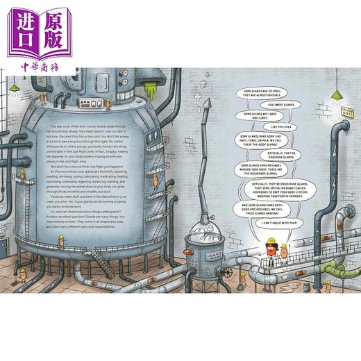 【中商原版】腺体工厂 The Gland Factory 英文原版 儿童科普绘本 探索人体内的黏液汁液和激素 少儿百科 进口童书 7岁以上  商品图3