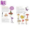 【中商原版】蘑菇公司 Mushrooms and Company 英文原版 儿童科普绘本 讲述一个奇妙的霉菌网络如何支撑地球上的生命 进口童书 商品缩略图2