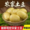 萄鲜客 土豆 5斤 粉糯香甜皮薄如纸坏果包赔 商品缩略图0