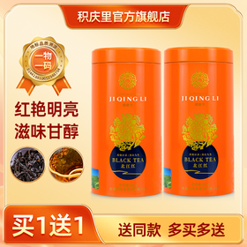 【买1送1同款】北江红圆罐 英红九号 125g