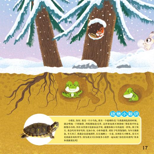 《婴儿画报》12期（共36本）征订 商品图9