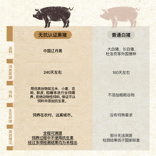 小黄象无抗黑猪肉小笼包 商品图1