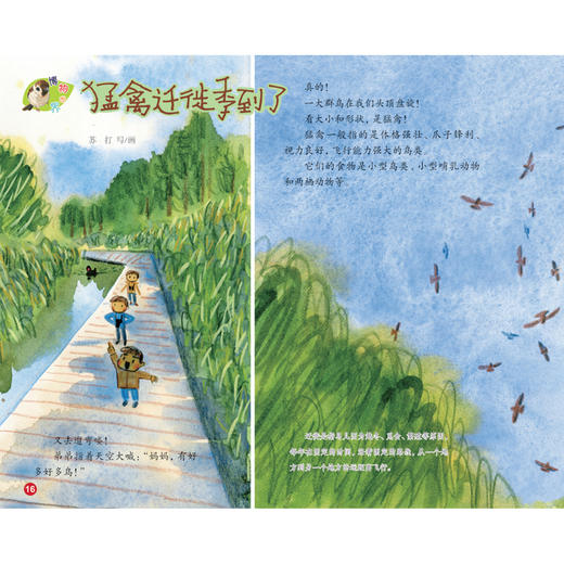 《看图说话》2026 年12期征订 商品图5