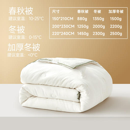 新疆生态棉花被 商品图1