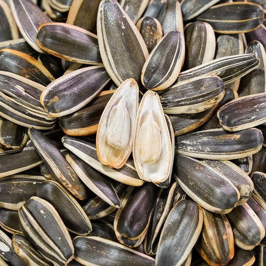 洽洽香瓜子150g 奶香味 商品图5