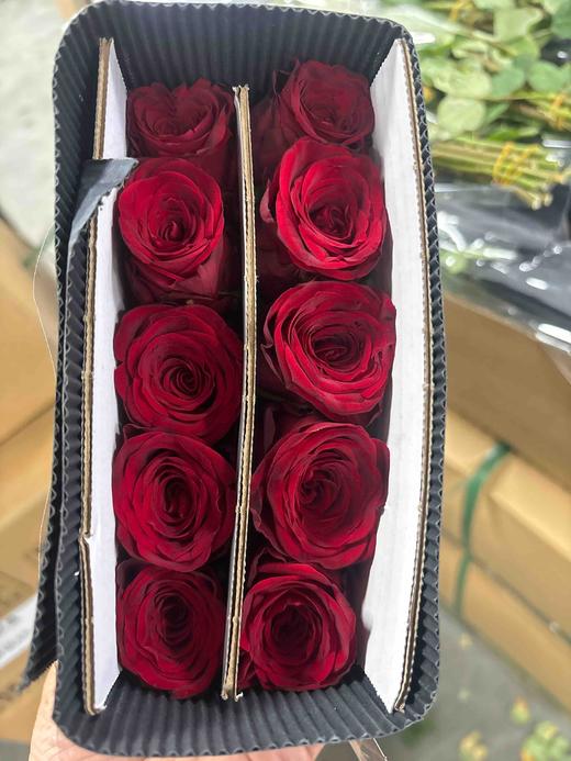 隆鑫娜欧米 商品图1