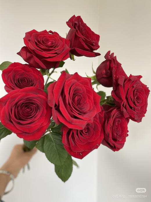 隆鑫娜欧米 商品图0