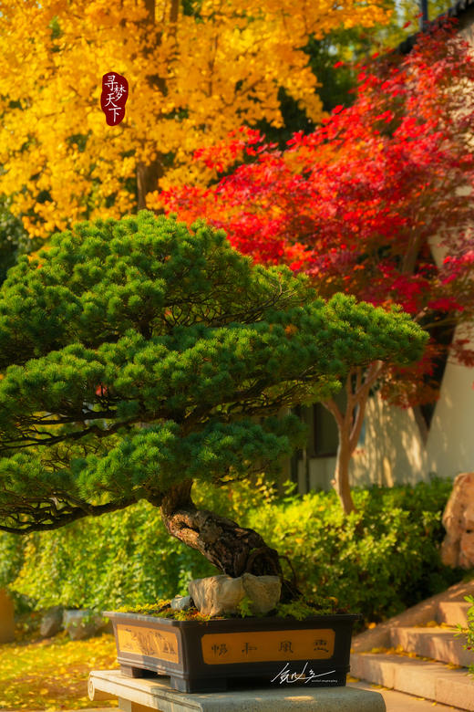 11.26确定出发【秋摄•枫林江浙】莫干山•八都岕•天平山•留園•濮院六天 商品图9