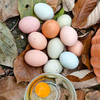 【下单送胡胖厨泡菜1袋】丹江口农家散养土鸡蛋 60枚 （十堰主城区包邮） 商品缩略图1
