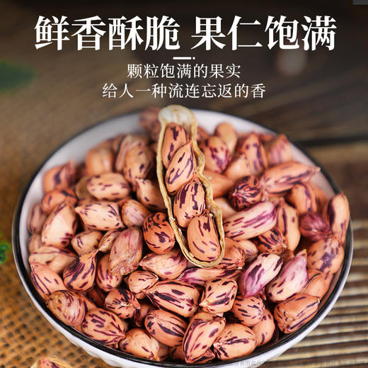 【188g】旭东原味七彩花生百里挑一高端办公室休闲零食坚果炒货 商品图5