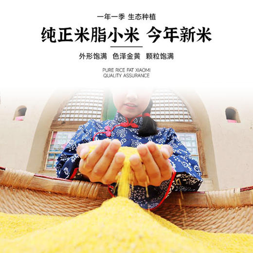2025年新米上市！扶风寨正宗陕北米脂小米 精选杂粮 山地种植 口感醇厚 颗粒饱满 商品图3