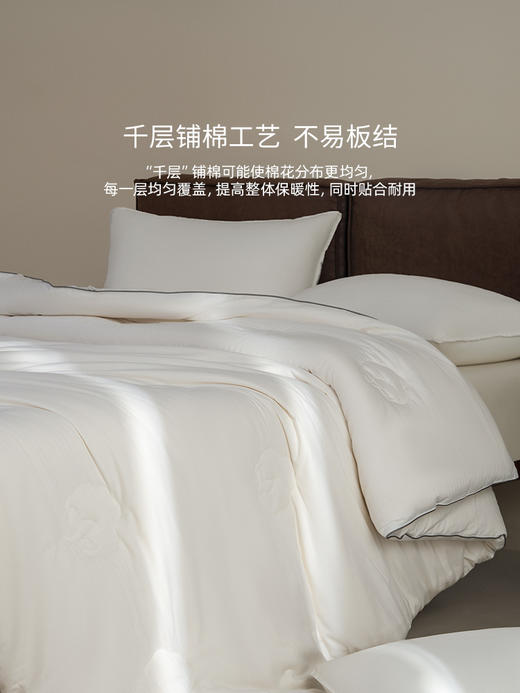 佳丽斯棉被冬加厚100纯棉新疆棉花被芯棉絮被子被褥冬用2025新款 商品图7