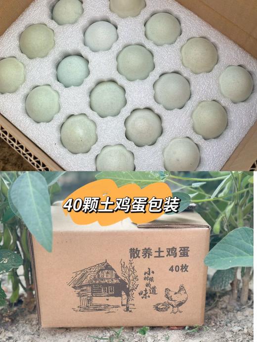 生态菜园里的散养土鸡蛋🥚拒绝激素抗生素、拒绝高密度笼养，生态间小群散养 商品图6