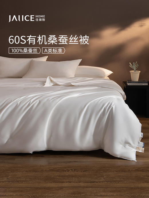 佳丽斯蚕丝被100桑蚕丝官方旗舰店正品被子四季通用被芯2025新款 商品图1