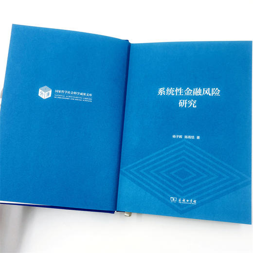 系统性金融风险研究 商品图6