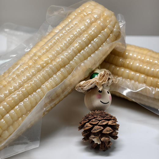 小时候的味道【内蒙敖汉非转基因香糯玉米】 0 农残！ 0化肥！ 0防腐 ！0添加！优质品种 甜糯口感 5小时鲜制 营养型好玉米 香甜口感  软嫩弹牙内蒙沙土地有机种 商品图9