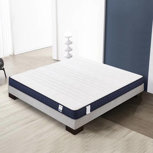 承梦床垫/DB317-18 商品图0