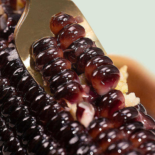 【白城供销】正宗东北黑糯玉米10根 早餐真空包装 商品图3