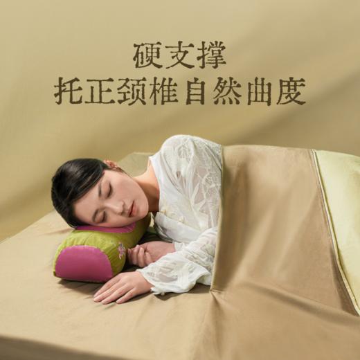 【真不二】丹系列柏子壳艾虎宝枕艾草枕头成人养生草本枕芯护颈药枕Y 商品图3