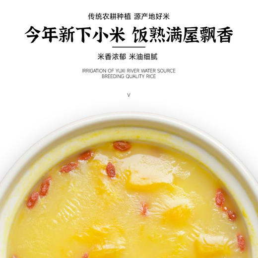 2025年新米上市！扶风寨正宗陕北米脂小米 精选杂粮 山地种植 口感醇厚 颗粒饱满 商品图4