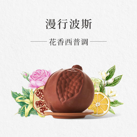 品牌直发 Santa Maria Novella 圣塔玛利亚诺维拉 石榴花香陶罐 190g 商品图3