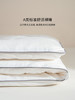 佳丽斯棉被冬加厚100纯棉新疆棉花被芯棉絮被子被褥冬用2025新款 商品缩略图5