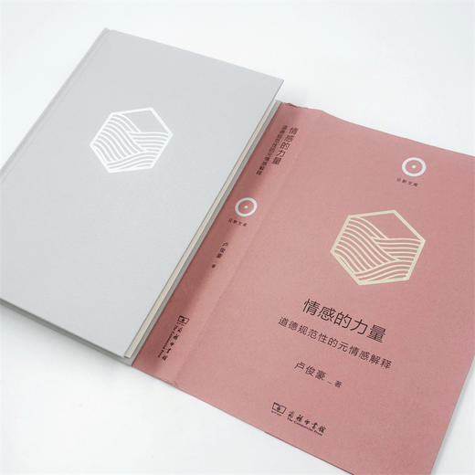 情感的力量：道德规范性的元情感解释(日新文库) 商品图7