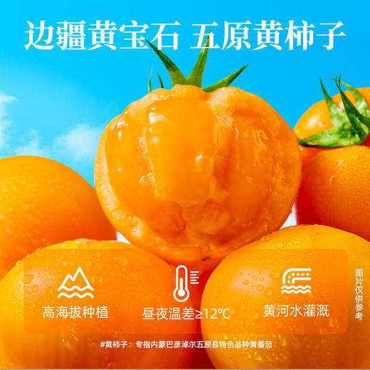 海底捞黄番茄火锅底料（3~5人）220g 商品图2