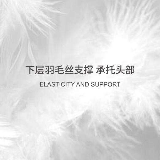 四季尊享鹅绒复合枕-HS 商品图3