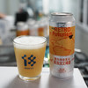 拾捌精酿 复古未来主义·浑浊淡色艾尔 Retro-futurism·Hazy Pale Ale 国产精酿啤酒 500ml 商品缩略图3