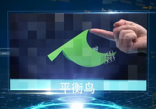 平衡鸟 商品图0