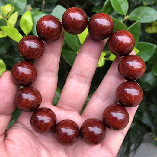 【青山特惠】1.8*13颗--5星料200度大龙鳞 小叶紫檀手串 商品图0