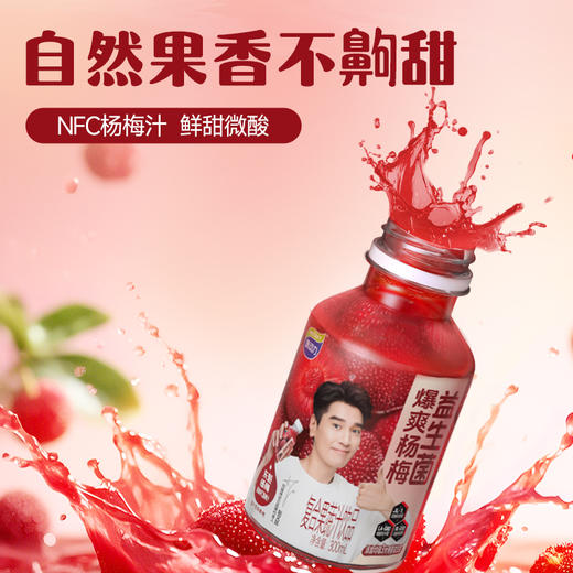 味动力 益生菌暴爽杨梅复合果蔬汁饮品300mL*8瓶 商品图3