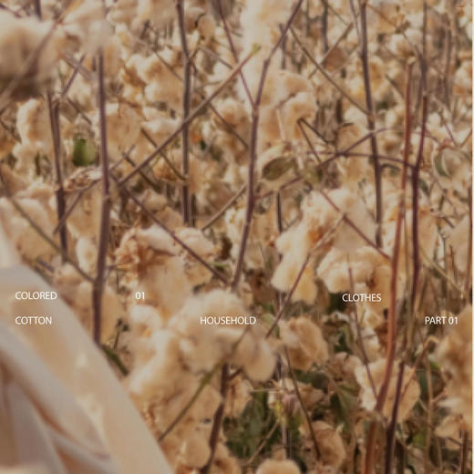 【男款】新疆10A抑菌彩棉亲肤男士平角内裤（三条装）透气不闷汗，天然无污染更安全，不挑身材 商品图3