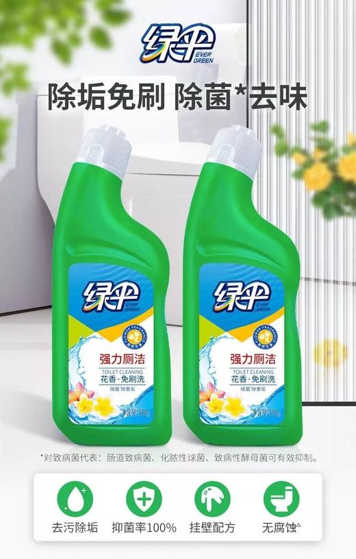 绿伞强力厕洁500g马桶清洁剂除臭去味高效清洁 商品图10