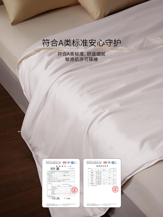 佳丽斯蚕丝被100桑蚕丝官方旗舰店正品被子四季通用被芯2025新款 商品图7