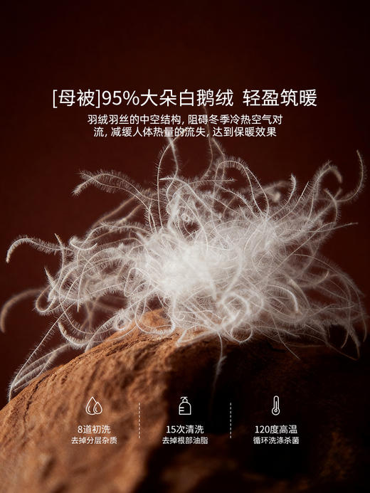 佳丽斯蚕丝羽绒子母被二合一拉链款冬被95白鹅绒被子被芯四季通用 商品图8
