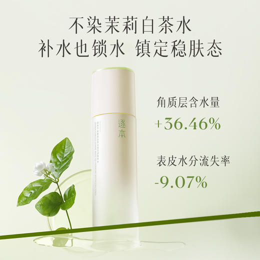 【分销供货】逐本不染第二代玉肌 茉莉白茶水乳水120ml+乳100ml 商品图1