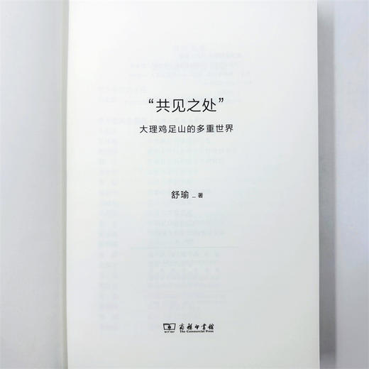 “共见之处”：大理鸡足山的多重世界(日新文库) 商品图10