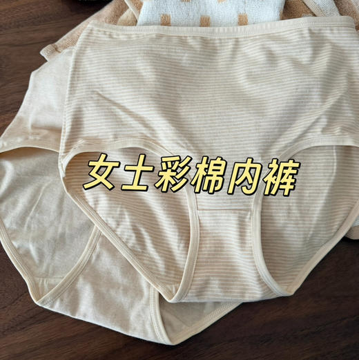 【女款】新疆10A抑菌彩棉亲肤女士中腰/高腰内裤（三条装）透气不闷汗，中腰护腰不露边，不挑身材 商品图0