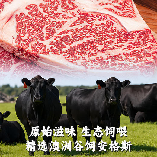 【鲨鱼菲特300-200】澳洲安格斯牛排脆原切脆牛肉牛排脆真牛肉解馋健身零食 商品图3
